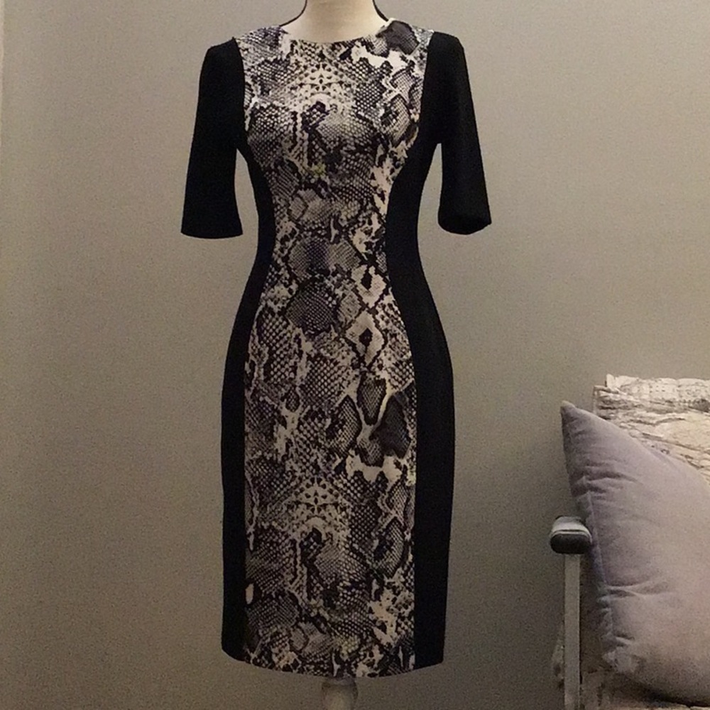 Python Snake Pattern Dress - image 1